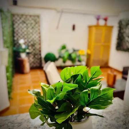 Centrico Con Parking Apartment *